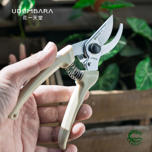 花一天堂园艺盆景果树修枝剪