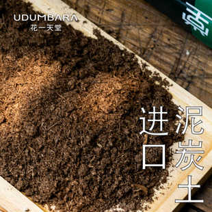 花一天堂丹麦进口品氏泥炭土扦插育苗多肉兰花月季种植泥炭营养土