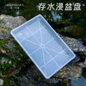 花一天堂多肉花盆整理盘长方形塑料托盘浸盆存水收纳植物周转闷养