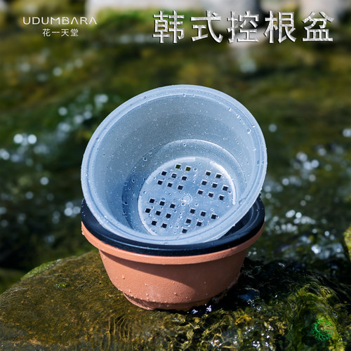花一天堂加厚磨砂韩式圆形矮胖盆