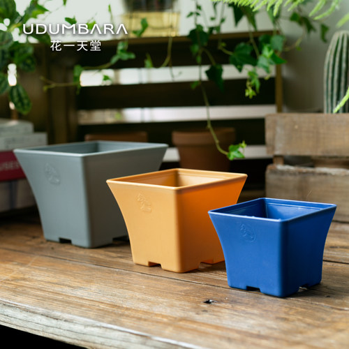 加厚塑料多规格多肉方口花盆