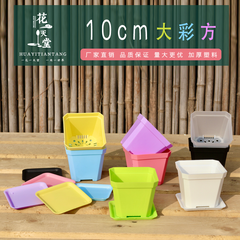 加厚磨砂10cm大方盆生石花盆景天盆