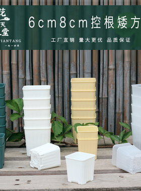 多肉花盆塑料方育苗矮方控根盆生石花肉锥花卉蔬菜育苗播种幼儿园