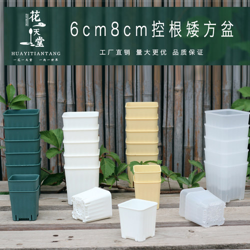 多肉塑料方盆育苗盆多色