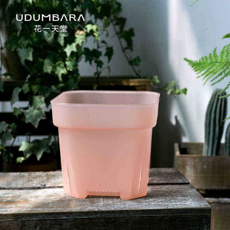 限定14cm口径半透粉特厚方盆