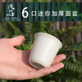 迷你加厚多肉花盆塑料圆口肉锥蝴蝶兰花石斛播种育苗盆可搭配托架