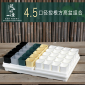 迷你多肉塑料花盆4.5口径控根高方托架整理浸水盘育苗播种植盆盘