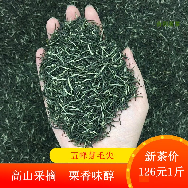 五峰芽毛尖2024新茶 明前五峰炒青绿茶湖北宜昌嫩芽散装茶叶500g 茶 特色产区绿茶 原图主图