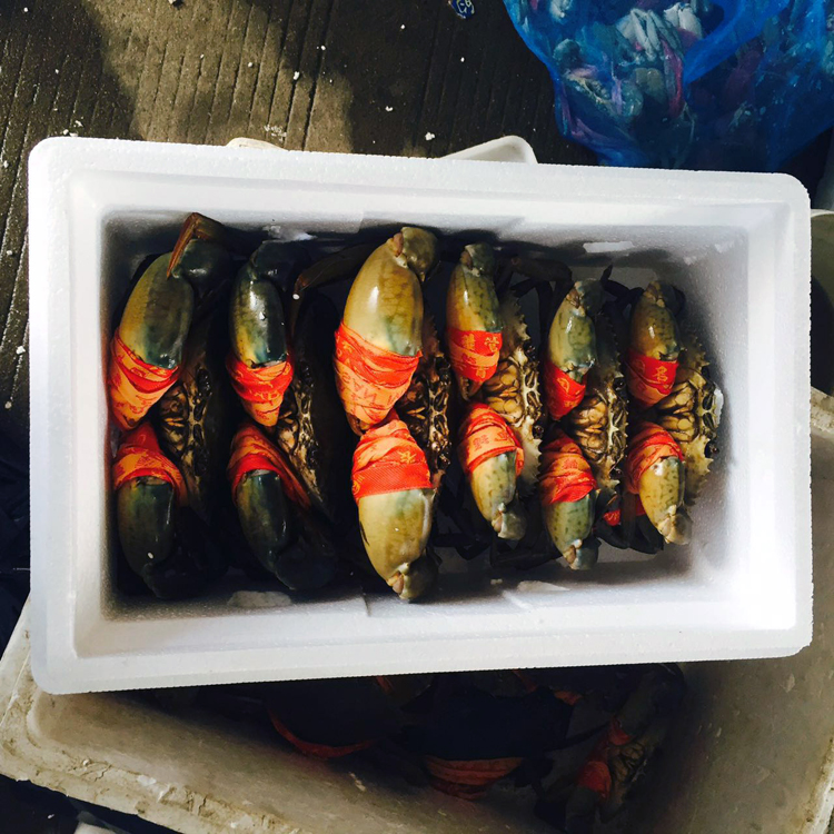 三门青蟹蟹必剥螃蟹礼盒海鲜水产