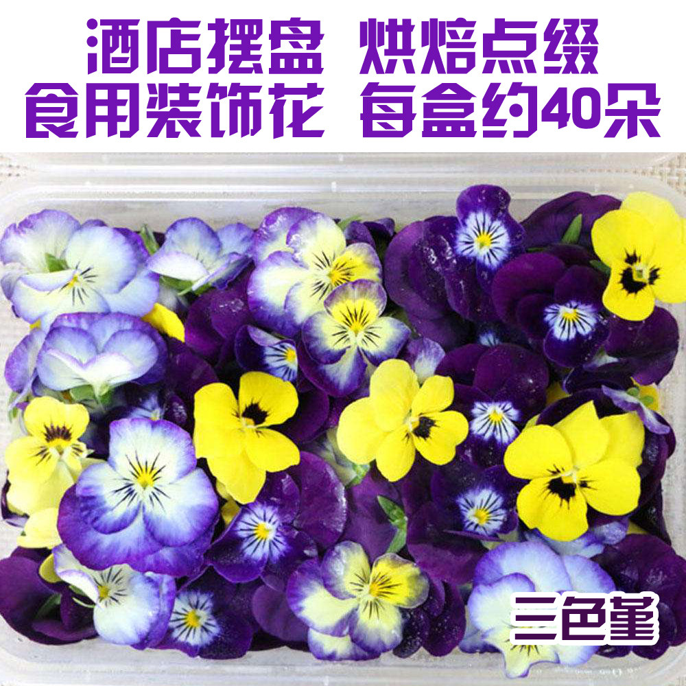 新鲜三色堇鲜花食用花三色花鸢尾花角堇酒店西餐摆盘30-40朵/盒