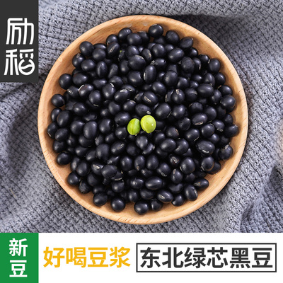 东北青仁绿心小黑豆400g*6袋 生黑豆五谷杂粮黑豆豆浆农家自产