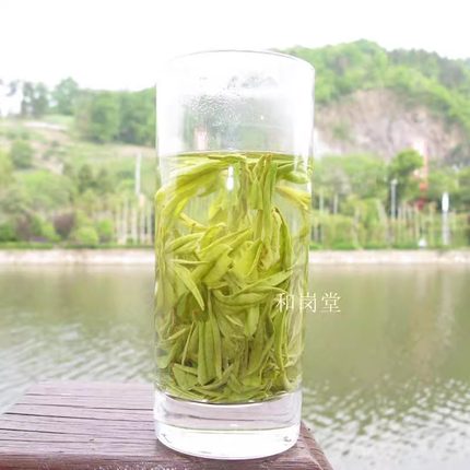 2026年新茶叶春绿茶  大佛白茶龙井 雨前龙井250g 包邮安吉 B3
