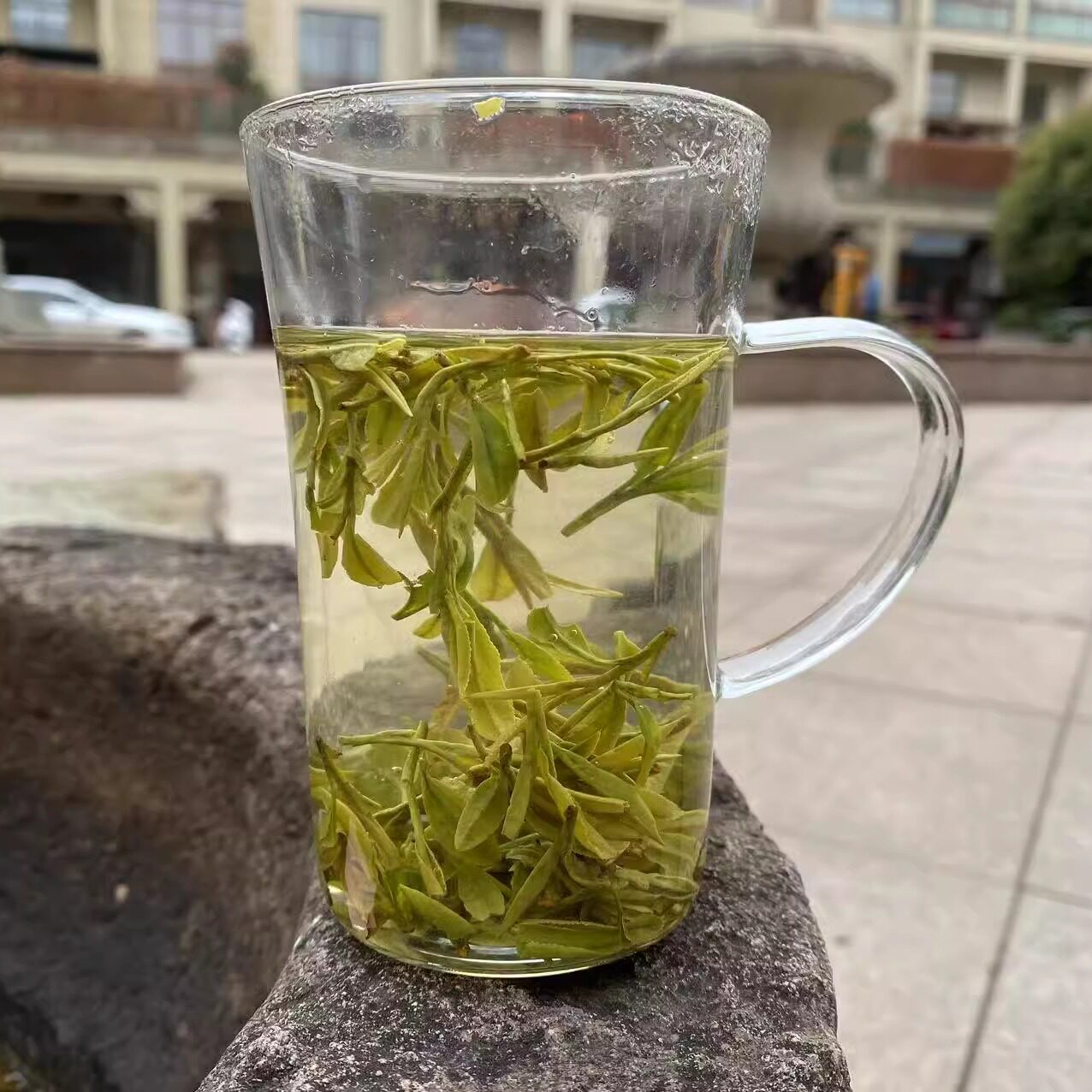 2026年新茶茶叶绿茶250克明前 新昌大佛龙井茶 春茶农直销龙井43