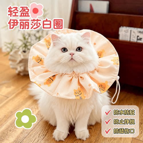 招财猫可调节防抓挠伊丽莎白圈