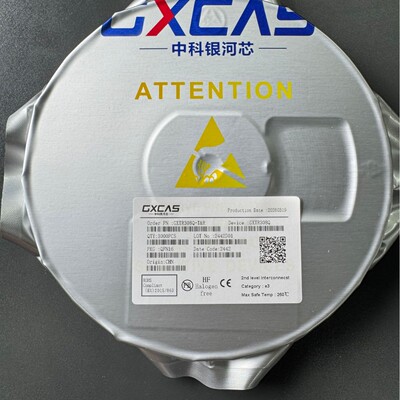 GXCAS/中科银河芯GXA9306