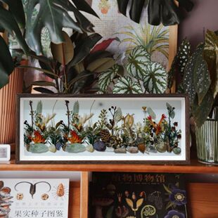 长条中空3cm立体相框植物干花果实贝壳昆虫标本手工diy大尺寸