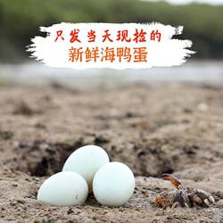 【年货礼盒装】正宗象山特产海鸭蛋滩涂散养每日现检原生态鲜鸭蛋