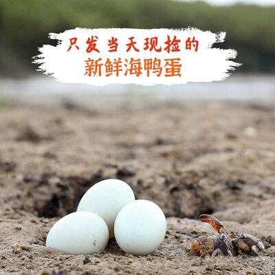 【年货礼盒装】正宗象山特产海鸭蛋滩涂散养每日现检原生态鲜鸭蛋