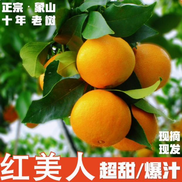 正宗柑橘28号果冻橙超甜平和