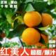 包邮 象山产地红美人柑橘现摘现发爱媛28号果冻橙应季 新鲜水果顺丰