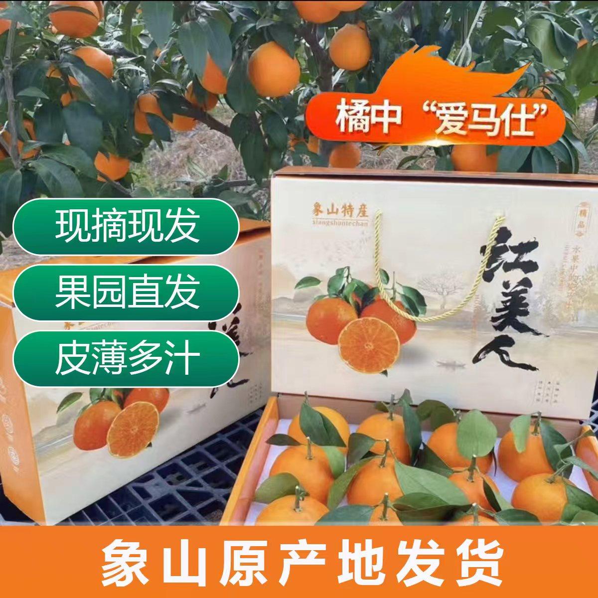 正宗红美人柑橘28号礼盒