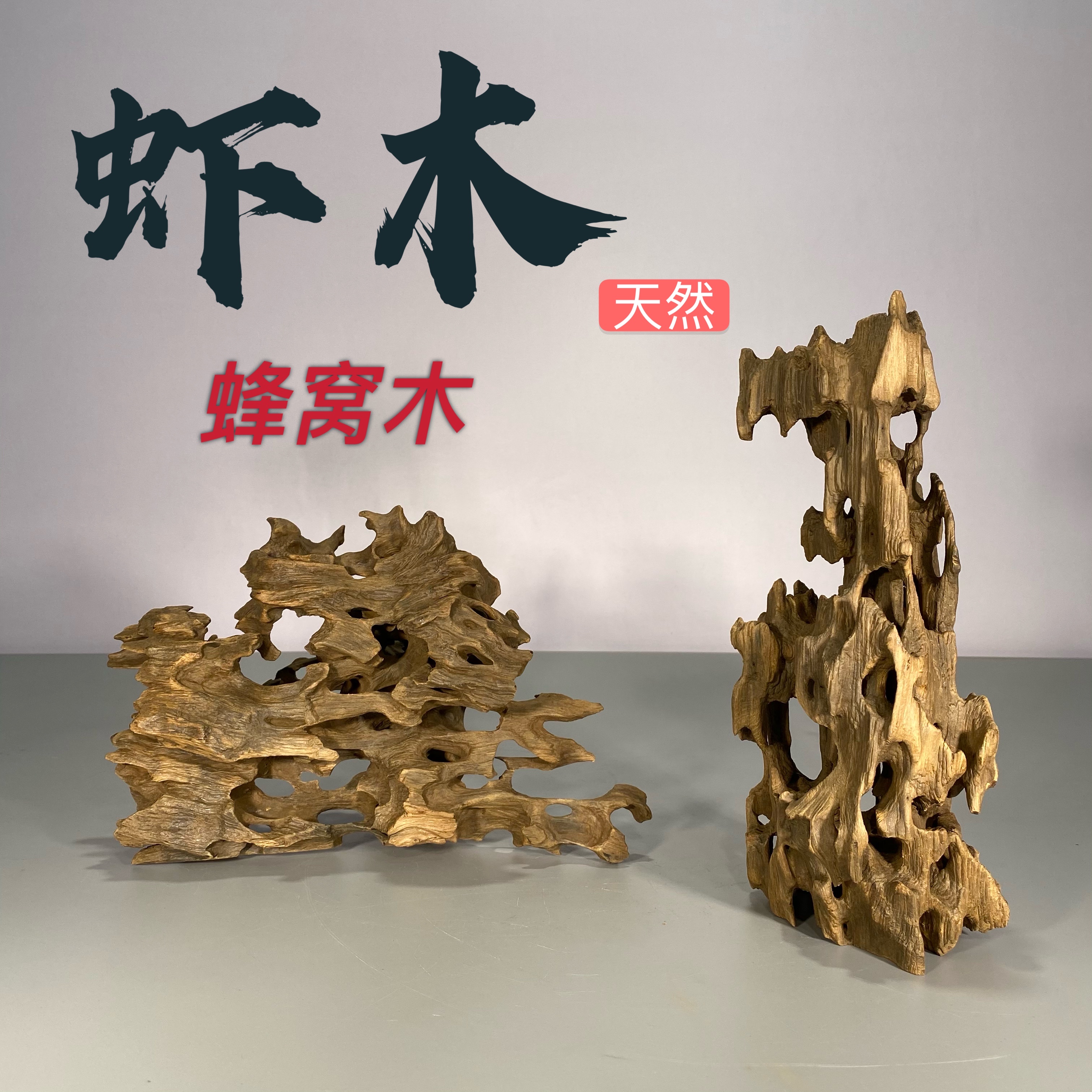 蜂窝观赏虾躲避繁殖免煮定植沉木