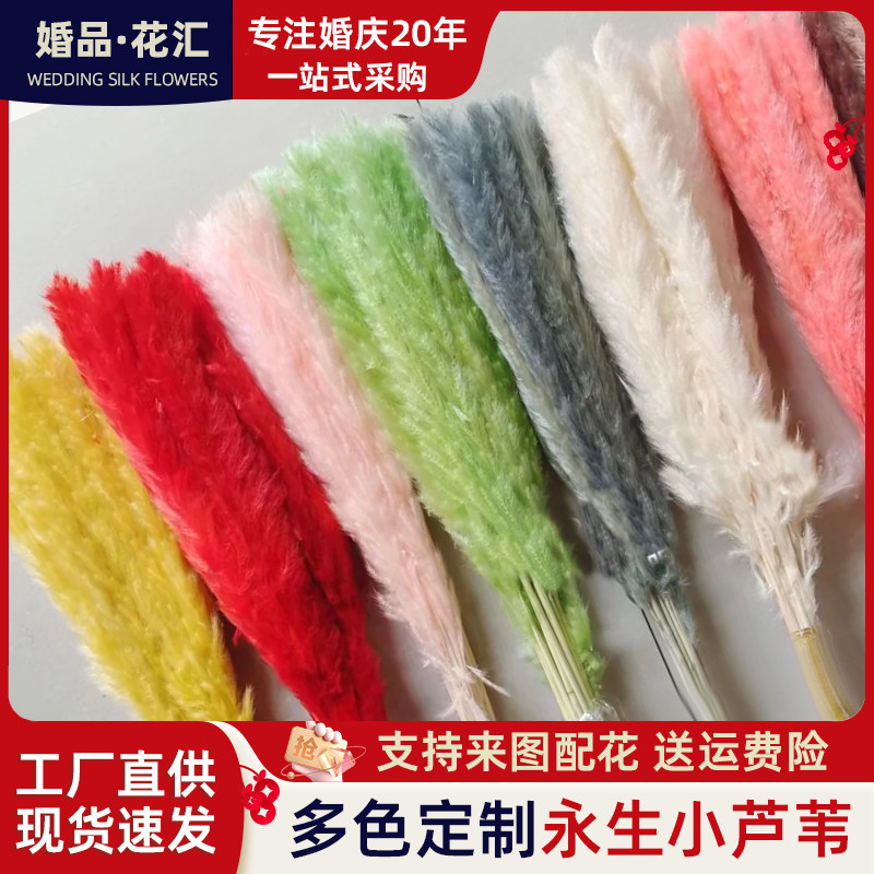 永生花干花束真花风干天然芦苇草diy材料包手工制作家居摆件装饰