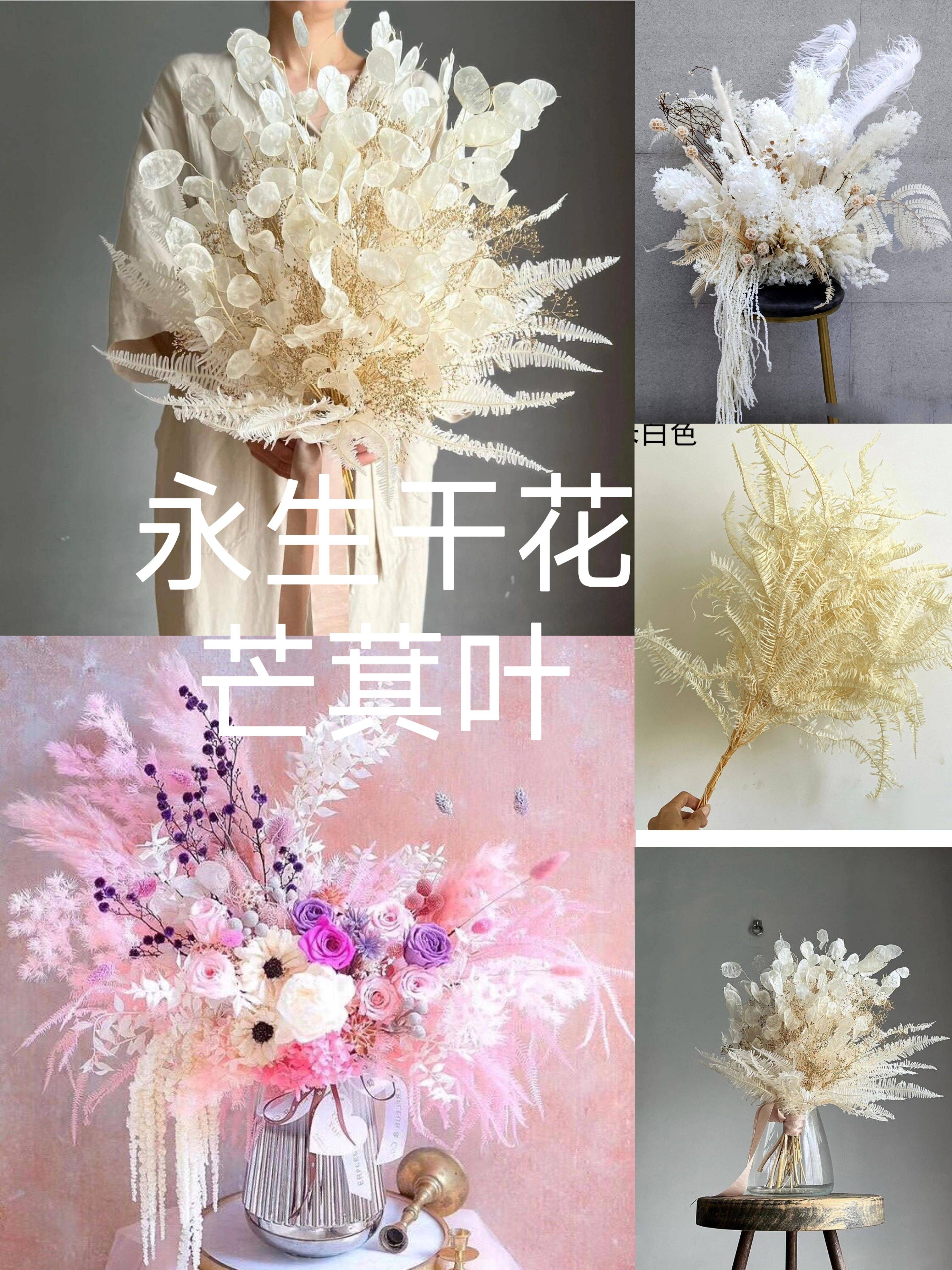 永生花芒萁蕨芒萁叶干花花束客厅婚庆装饰道具网红打卡好dⅰy花材