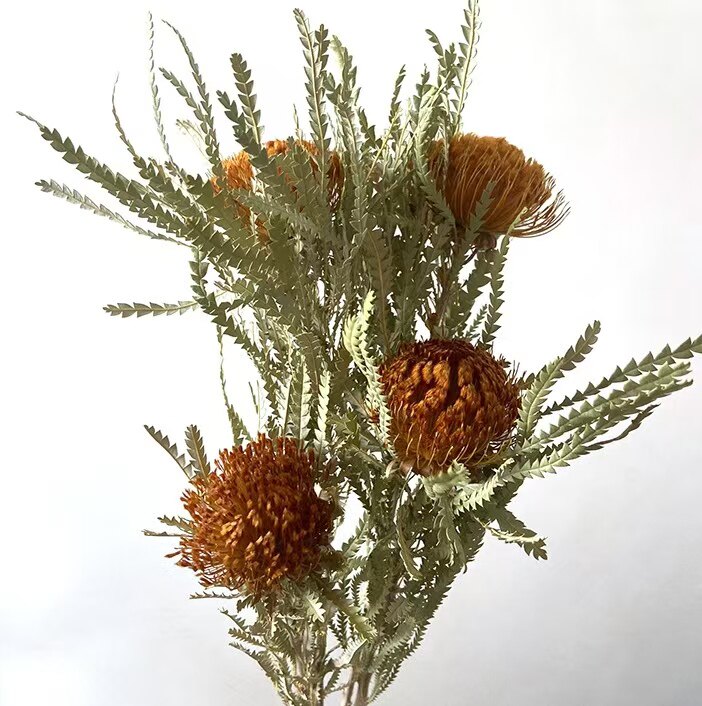 干花山茂坚态生活真花干花树枝永生花网红花束客厅样板间装饰摆件