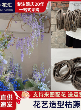 树藤枯藤红山藤管道深山藤条葡萄叶藤蔓老藤树枝干假植物婚庆装饰