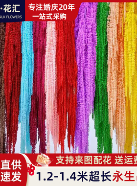 吊米永生花柔丽丝婚庆红小米美陈手捧花挂穗垂吊型线条花材干花