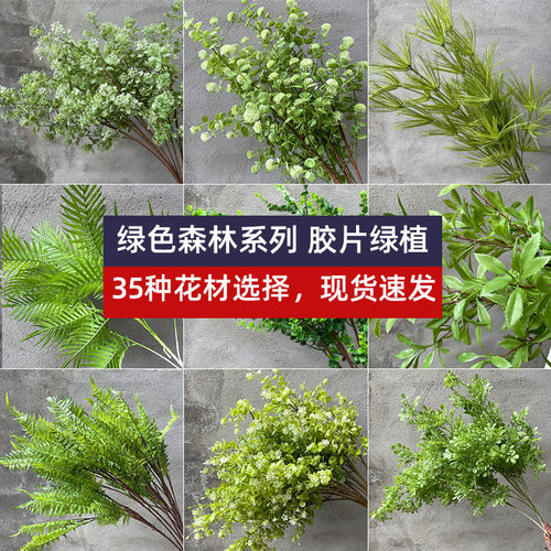 高枝竹峰满天星蓬莱松深绿浅绿森系婚庆婚庆装饰路引插花挑高叶材