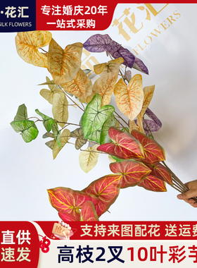 新款仿真绿植绿叶手感芋叶波斯叶排草春雨叶森系婚庆软装配叶
