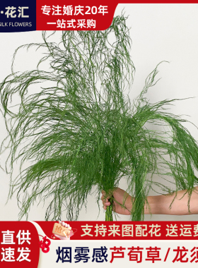花艺布置永生花芦寻草龙须羽毛草干花灵动森系拍摄道具烟雾感婚庆