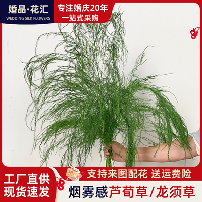 花艺布置永生花芦寻草龙须羽毛草干花灵动森系拍摄道具烟雾感婚庆