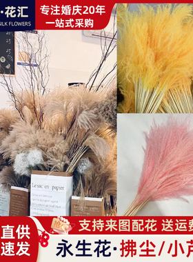 10支拂尘花婚庆道具麦穗