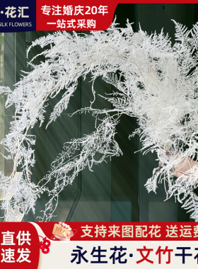【文竹】永生文竹干花婚庆花艺推荐软装陈列布置线装花材百搭款式