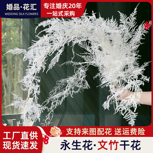 【文竹】永生文竹干花婚庆花艺推荐软装陈列布置线装花材百搭款式