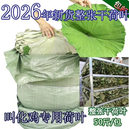 荷叶商用大张干荷叶糯米鸡荷叶鸡干荷叶整张批发酒坛荷叶茶荷叶饭