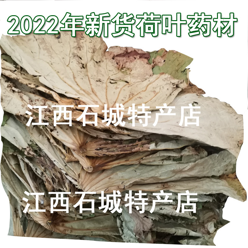 2025新货整张荷叶药材莲叶灰荷叶