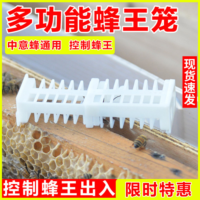 多功能蜂王笼中蜂意蜂通用蜜蜂王笼蜂皇育王笼囚王笼储王笼控王器