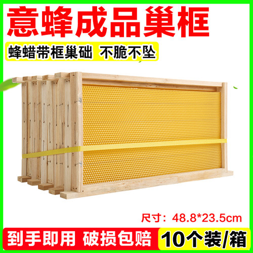 意蜂专用带框巢础成品巢框10个/箱深房巢础杉木蜂框架养蜜蜂用品