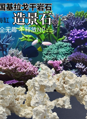 美国基拉戈干岩石海缸造景爪哇石片状珊瑚鱼缸免爆藻天然活石培菌
