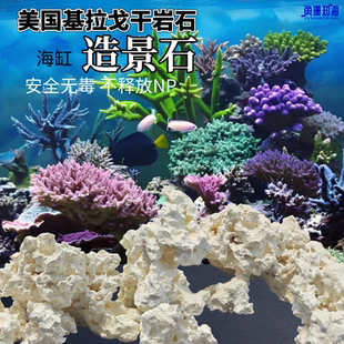 美国基拉戈干岩石海缸造景爪哇石片状珊瑚鱼缸免爆藻天然活石培菌
