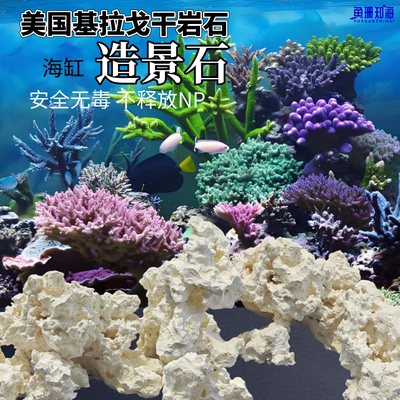 美国基拉戈干岩石海缸造景爪哇石片状珊瑚鱼缸免爆藻天然活石培菌