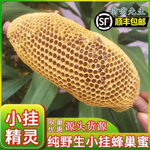 云南野生蜜巢嚼着吃土蜂蜜