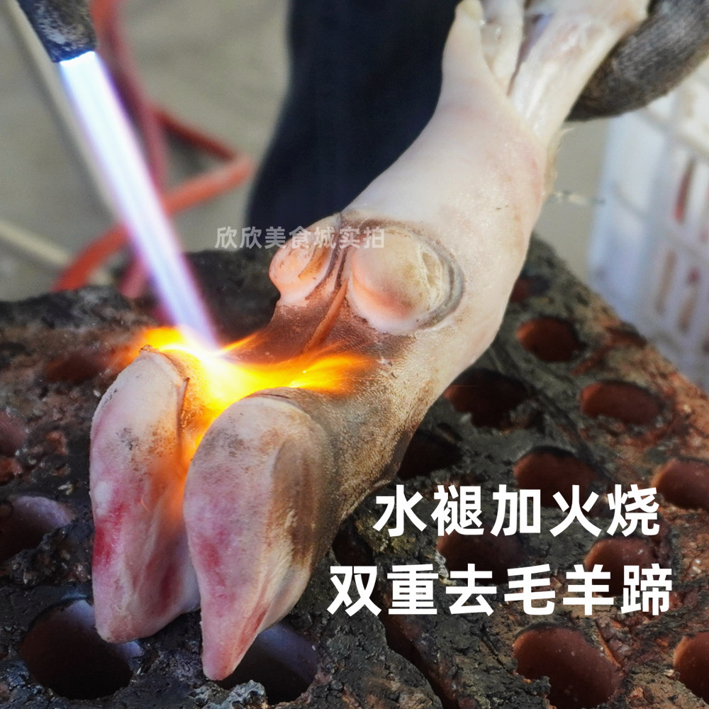 两次去毛更干净好羊蹄不抽筋
