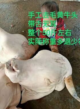 新鲜牛头完整生牛头牛眼睛牛脑牛嘴牛鼻子带舌头整个称重多退少补