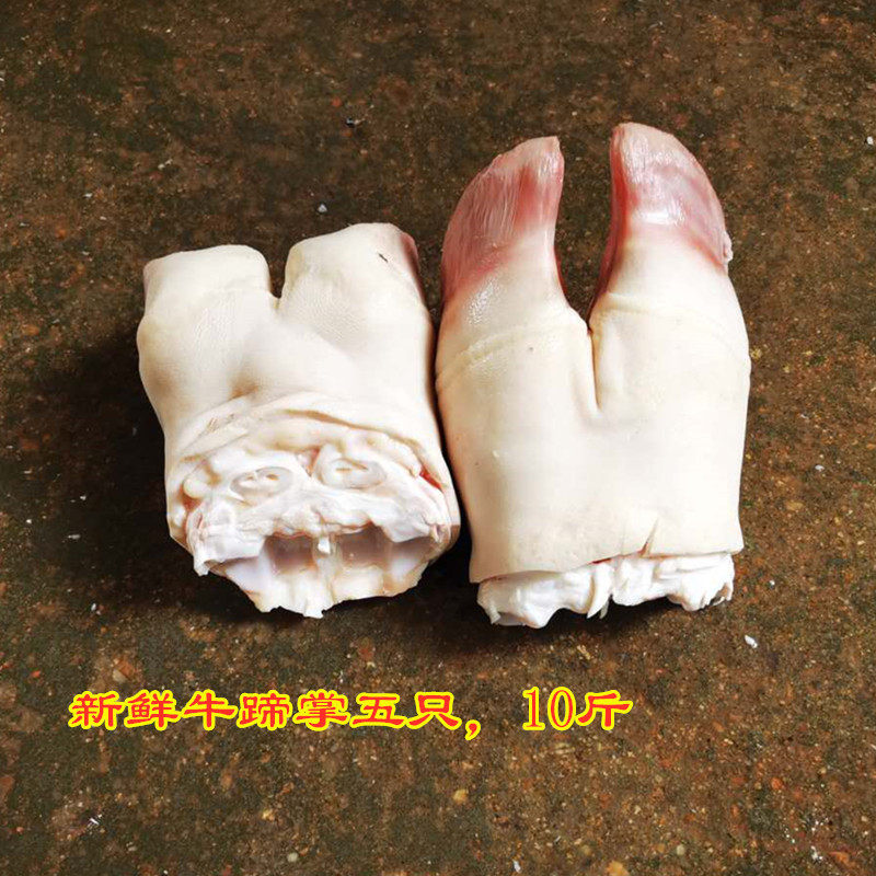 新鲜黄牛蹄掌食用蹄子头5个10斤包邮药用掌筋蹄筋完整商用牛杂