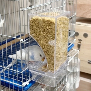 鹦鹉小鸟自动喂食器一体机食盒挂式防撒溅谷壳分离新款自动下料器